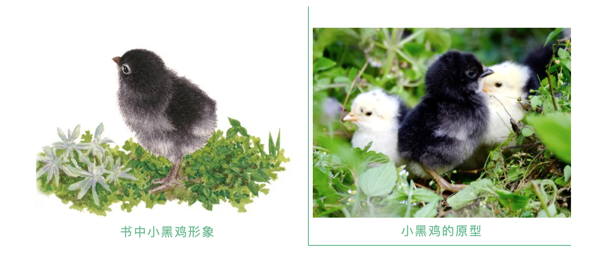截圖 2021-04-23 下午3.01.23.png