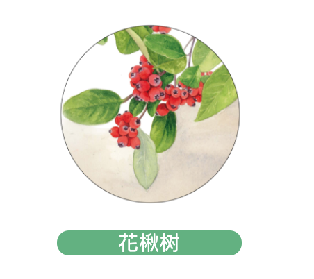 截圖 2021-04-23 下午3.08.09.png