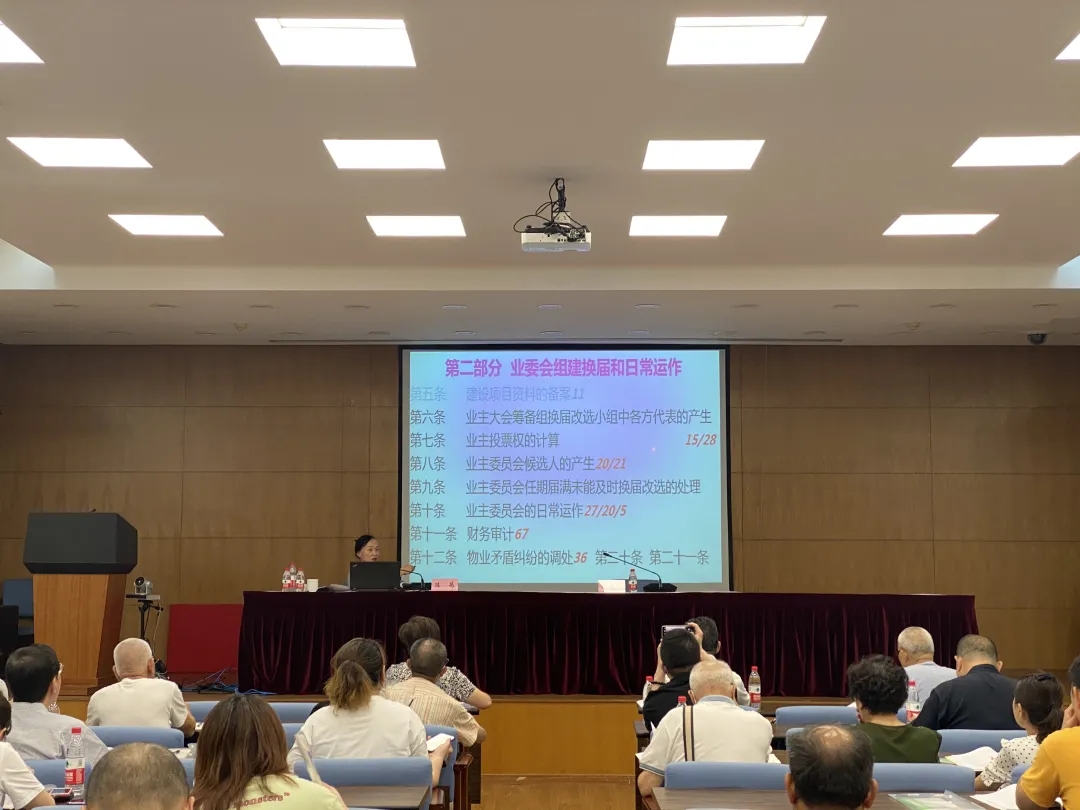 11.webp (1).jpg