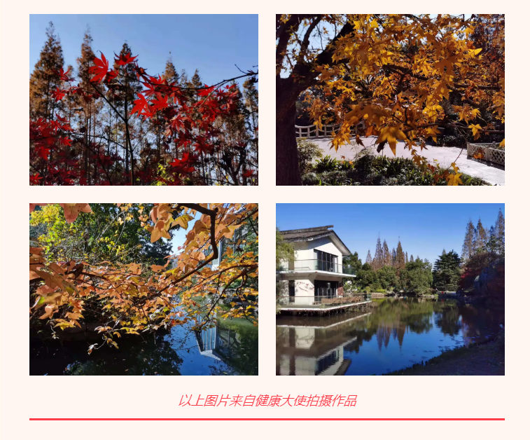 1644817049(1).png