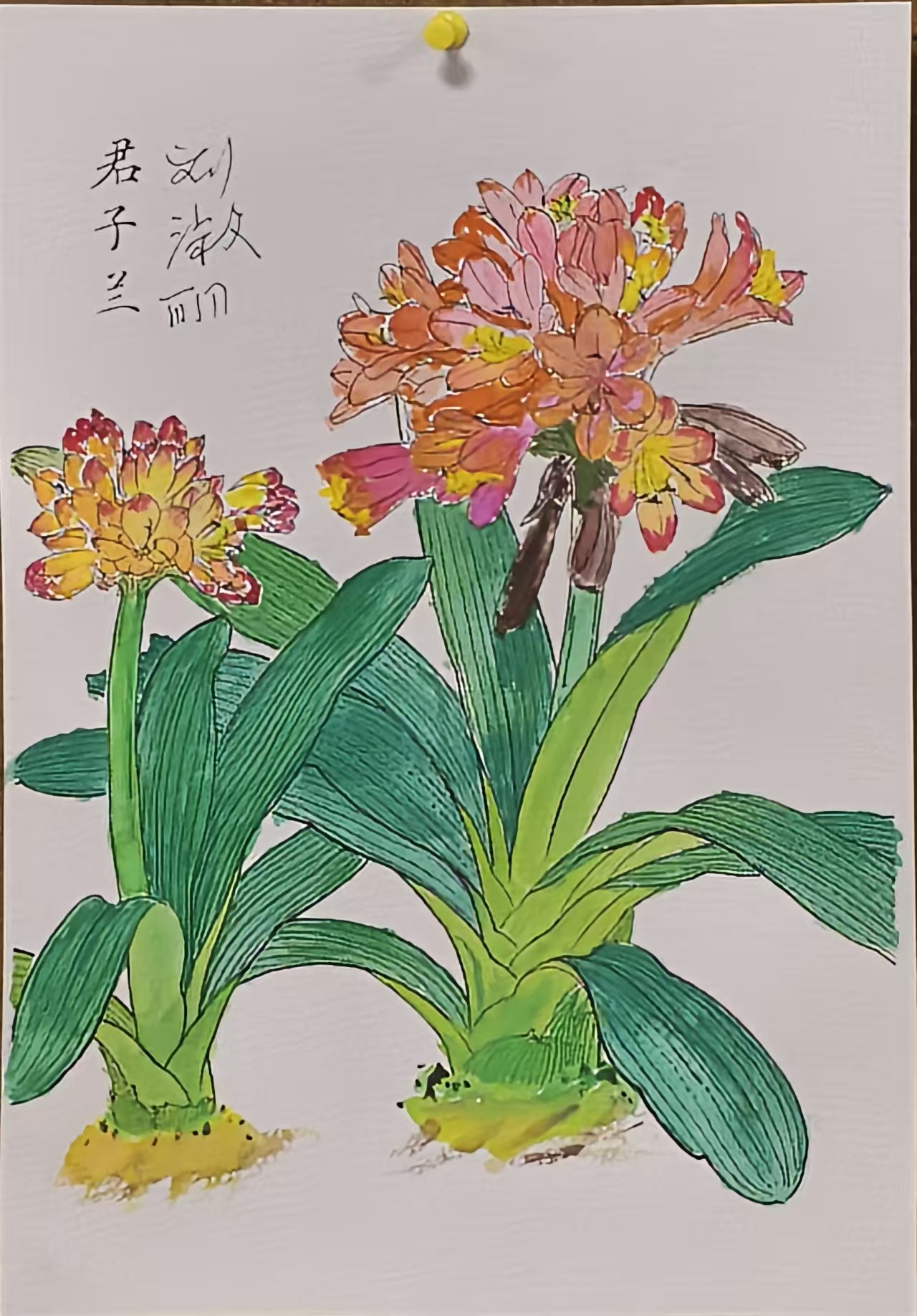 水彩3.jpg